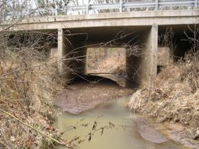 Figure 120. Little Cypress Creek, Atlantic Coastal Plain-looking upstream at bridge. Photo. This is looking upstream at the bridge. The photo shows a large bar devoid of vegetation that is deposited in the center span of a bridge that has three spans.