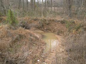Figure 121. Unnamed creek (N 23), Atlantic Coastal Plain-downstream from bridge. Photo. This is unnamed creek N 19 in the Atlantic Coastal Plain region looking downstream from the bridge. The channel is narrow, deep, and entrenched.