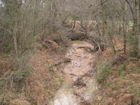 Figure 122. Unnamed creek (N 23), Atlantic Coastal Plain-upstream from bridge. Photo. This is looking upstream from the bridge. The channel is narrow and deep, and bank vegetation is primarily moderately dense trees and annuals. There appears to be sediment deposited in the channel; this is associated with bank widening.