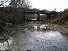 Figure 127. Unnamed creek (N 24), Atlantic Coastal Plain-looking upstream at bridge. Photo. This is looking upstream at the bridge and at sediment deposition in the channel. The photo shows several trees leaning into the channel.