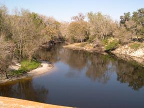 Figure 132. Peace River, Atlantic Coastal Plain-upstream from old pedestrian bridge. Photo. This is looking further upstream from the pedestrian bridge. Banks are heavily vegetated but very sandy.