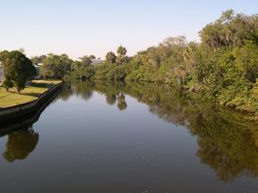 Figure 133. Alligator Creek, Atlantic Coastal Plain-<br /> downstream from bridge.