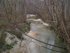 Figure 137. Stocketts Run, Atlantic Coastal Plain-upstream from bridge. Photo. This is the Stocketts Run in the Atlantic Coastal Plain region looking upstream from the bridge. Banks are moderately vegetated by trees. The channel is fairly straight with alternate sand bars. 