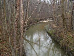 Figure 138. Stocketts Run, Atlantic Coastal Plain-downstream from bridge. Photo. This is looking downstream from the bridge toward a meander bend curving to the left. Both banks are vegetated with trees.