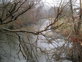 Figure 142. Mill Stream Branch, Atlantic Coastal Plain-downstream from bridge. Photo. This is looking downstream from the bridge. The left bank is well-vegetated with trees; the right bank is covered with grass. 