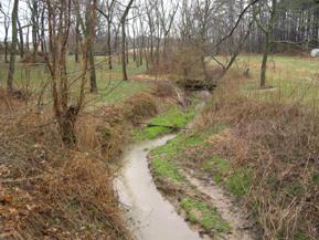 Figure 146. Kent County Tributary, Atlantic Coastal Plain-upstream from bridge. Photo. This is looking upstream from the bridge. The banks have sparse trees and grass. There is evidence of continuing mass wasting.