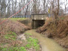 Figure 147. Kent County Tributary, Atlantic Coastal Plain-looking downstream at bridge. Photo. This is looking downstream at the bridge. The channel is not well-aligned with the bridge, as there is a tight bend in the channel just upstream. The banks are high.