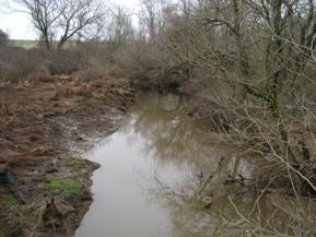 Figure 149. Morgan Creek, Atlantic Coastal Plain-upstream from bridge. Photo. This is Morgan Creek in the Atlantic Coastal Plain region looking upstream from the bridge. The right bank is lined with trees, the left bank is covered with tall grasses. The left bank appears to have hoof damage. 