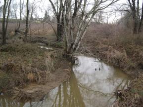 Figure 150. Morgan Creek, Atlantic Coastal Plain-downstream from bridge. Photo. This is looking downstream from the bridge. The banks have sparse trees and grass. The bank width is irregular, and there appears to be continuing fluvial erosion and some mass wasting.