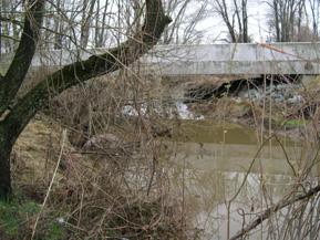 Figure 152. Morgan Creek, Atlantic Coastal Plain-looking downstream at bridge. Photo. This is looking downstream at the bridge. The right bank is stabilized at the bridge.