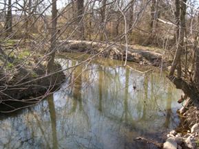 Figure 153. Hammond Branch, Atlantic Coastal Plain-upstream from bridge. Photo. This is Hammond Branch in the Atlantic Coastal Plain region looking upstream from the bridge at a tight meander bend just upstream of the bridge. The banks are sparsely covered with trees. 