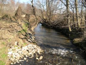 Figure 154. Hammond Branch, Atlantic Coastal Plain-downstream from bridge. Photo. This is looking downstream from the bridge. The right bank is sparsely covered with trees, while the left bank has few trees and grass. Riprap bank stabilization on the left bank has collapsed and fallen into the stream.