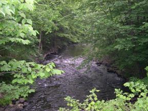 Figure 157. Pootatuck River, New England-downstream from bridge. Photo. This is Pootatuck River in the New England region looking downstream from the bridge. The banks are heavily vegetated with trees. 