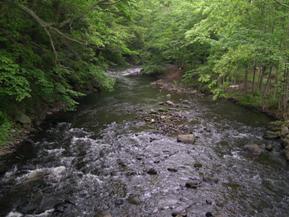 Figure 158. Pootatuck River, New England-upstream from bridge. Photo. This is looking upstream from the bridge. The bed material is large, and the flow is shallow and fast. 