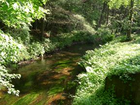 Figure 161. Mill River, New England-upstream from bridge. Photo. This is Mill River in the New England region looking upstream from the bridge. The banks are heavily vegetated with trees. 