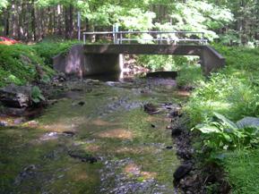 Figure 163. Mill River, New England-looking upstream at bridge. Photo. This is looking upstream at the bridge. The channel is shifted toward the right abutment.