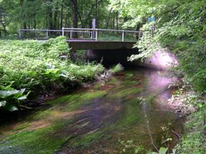 Figure 164. Mill River, New England-looking downstream at bridge. Photo. This is looking downstream at the bridge. The channel goes through a tight bend just upstream of the bridge, forcing the flow into the right abutment.