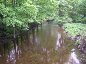 Figure 165. Aspetuck River, New England-upstream from bridge. Photo. This is Aspetuck River in the New England region looking upstream from the bridge. The banks are heavily vegetated with trees. The channel is straight, and flow is calm. 