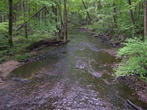 Figure 166. Aspetuck River, New England-downstream from bridge. Photo. This is looking downstream from the bridge. The bed material is larger, and the flow is shallow and faster than conditions upstream. The left bank is somewhat eroded just downstream of the bridge, but stable elsewhere. 