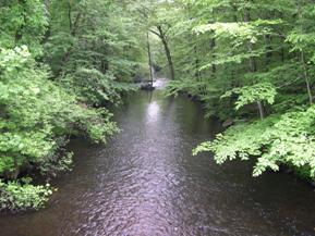 Figure 169. West Branch Saugatuck River, New England-downstream from bridge. Photo. This is the West Branch of the Saugatuck River in the New England region looking downstream from the bridge. The banks are heavily vegetated with trees. The channel is straight. 