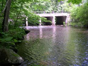 Figure 172. West Branch Saugatuck River, New England-looking upstream at bridge. Photo. This is looking upstream at the four-span bridge. 