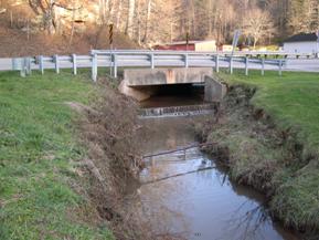 Figure 183. Wolf Run, Appalachian Plateau-looking upstream at bridge. Photo. This is looking upstream at the bridge. Degradation and bank widening are evident.