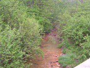 Figure 185. Unnamed creek (N 48), Appalachian Plateau-upstream from bridge. Photo. This is unnamed creek N 48 in the Appalachian Plateau region looking upstream from the bridge. Bank vegetation is thick brush and trees. 