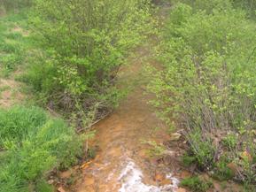 Figure 186. Unnamed creek (N 48), Appalachian Plateau-downstream from bridge. Photo. This is looking downstream from the bridge. Bank vegetation consists of thick brush and trees. 