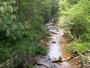 Figure 189. Reids Run, Appalachian Plateau-upstream from bridge. Photo. This is Reids Run in the Appalachian Plateau region looking upstream from the bridge. Bank vegetation is thick brush and trees. 