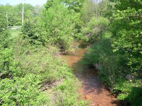 Figure 190. Reids Run, Appalachian Plateau-downstream from bridge. Photo. This is looking downstream from the bridge. Bank vegetation consists of thick brush and trees.