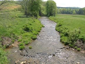 Figure 197. Sandy Creek, Appalachian Plateau-upstream from bridge. Photo. This is Sandy Creek in the Appalachian Plateau region looking upstream from the bridge. Banks are grass lined with some trees further upstream. 