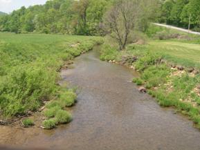 Figure 198. Sandy Creek, Appalachian Plateau-downstream from bridge. Photo. This is looking downstream from the bridge showing ragged bank lines due to overwidening of the channel. 