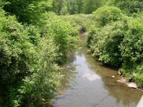 Figure 201. Trout Run, Appalachian Plateau-upstream from bridge. Photo. This is Trout Run in the Appalachian Plateau region looking upstream from the bridge. Both banks are heavily covered with shrubs and trees.