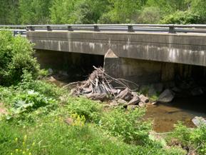 Figure 204. Trout Run, Appalachian Plateau-upstream face of bridge. Photo. This is looking at the upstream face of the bridge. The channel is badly aligned and must make a very tight bend to flow through the right span. There is considerable debris built up against the center pier.