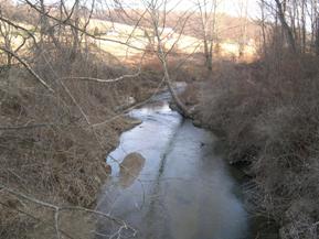 Figure 205. Blackrock Run, Piedmont-upstream from bridge. Photo. This is Blackrock Run in the Piedmont region looking upstream from the bridge. There are sparse trees and shrubs on the banks. Trees are leaning into the channel.