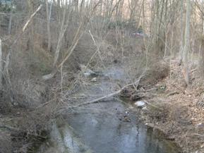 Figure 206. Blackrock Run, Piedmont-downstream from bridge. Photo. This is looking downstream from the bridge. The banks are covered with sparse trees, many of which are falling into the channel.