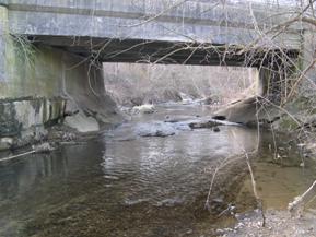 Figure 207. Blackrock Run, Piedmont-looking downstream at bridge. Photo. This is looking downstream at the bridge. The channel narrows considerably under the bridge.