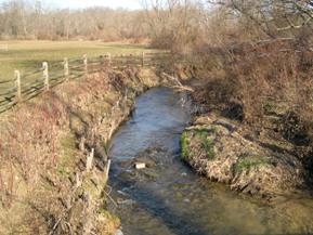 Figure 209. Indian Run, Piedmont-upstream from bridge. Photo. This is Indian Run in the Piedmont region looking upstream from the bridge. The right bank is on the outside of a gentle meander bend. Bank vegetation on the right bank is grass (new trees have been planted), and trees and shrubs are on the left bank. 