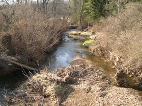 Figure 210. Indian Run, Piedmont-downstream from bridge. Photo. This is looking downstream from the bridge at a large midchannel bar deposited just downstream of the bridge. Banks are lined with trees and shrubs. 