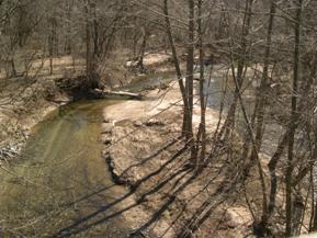 Figure 214. Middle Patuxent River, Piedmont-downstream from bridge. Photo. This is looking downstream from the bridge at a large midchannel island. Tree growth on the island indicates slow-to-no movement of the bar. Banks are covered with sparse-to-moderate trees and shrubs. 