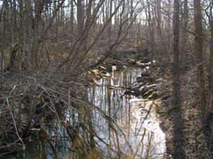 Figure 217. Atherton Tributary, Piedmont-upstream from bridge. Photo. This is the Atherton Tributary in the Piedmont region looking upstream from the bridge. Bank vegetation consists of moderately dense trees, many of which are leaning into the channel. There are large rocks at the toes of both banks. 