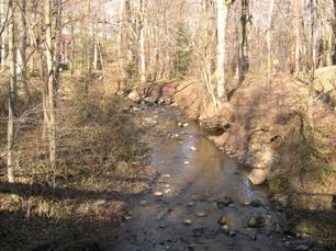 Figure 218. Atherton Tributary, Piedmont-downstream from bridge. Photo. This is looking downstream from the bridge. Banks are covered with sparsely-to-moderately dense trees. 