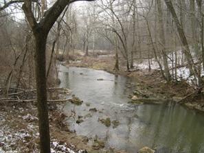Figure 222. Little Elk Creek, Piedmont-downstream from bridge. Photo. This is looking downstream from the bridge toward another river bend. Banks are covered with moderately dense trees. 