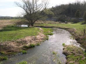 Figure 230. Buffalo Run, Valley and Ridge-downstream from bridge. Photo. This is looking downstream from the bridge toward a meander. Banks are covered with grass. The low banks indicate that there is no mass wasting. 