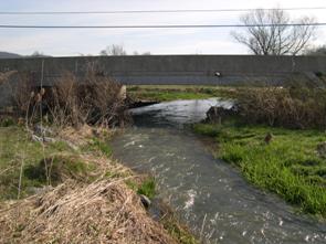 Figure 231. Buffalo Run, Valley and Ridge-looking downstream at bridge. Photo. This is looking downstream at the bridge. The channel is fairly well-aligned with the bridge. 