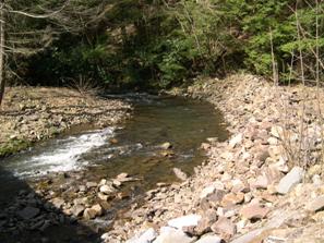 Figure 234. Roaring Run, Valley and Ridge-downstream from bridge. Photo. This is the Roaring Run in the Valley and Ridge region looking downstream from the bridge. The banks are covered with dense trees. The right bank toe has rock placed to stabilize the bank. 