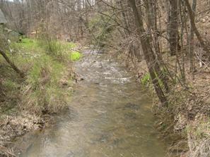 Figure 238. Potter Run, Valley and Ridge-upstream from bridge. Photo. This is looking upstream from the bridge. The left bank is covered with trees, the right bank is covered with grass. There is some erosion of the right bank where the grass is, causing a slightly irregular bank width. The flow is rapid.