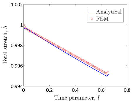 Chart. FE solution to the model response to applied constant stress—total stretch. Click here for more information.