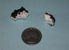 This photo shows a quarter next to two white lime nuggets, illustrating their similarity in size.