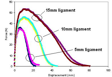 This graph shows typical raw data from double-edged notched tension (DENT) test and shows force on the y-axis and displacement on the x-axis. Three groups of replicate curves are shown. Each group corresponds to ligament lengths of 0.2, 0.4, and 0.58 inches (5, 10, and 15 mm). Each group has two test replicate curves that closely overlap. All curves have the same shape but different scales, depending on the ligament length. The test data trace a curve with a rapid rise in force with increase in displacement up to a peak force and then a gradual reduction of force to zero with further increase in displacement. The smallest ligament length has the smallest peak force and smallest displacement at that peak force. Proportionally, the largest ligament length has the largest peak force and largest displacement at that peak force.